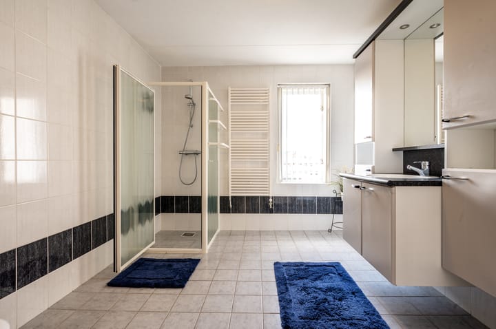 Foto 23 van Lupine 12