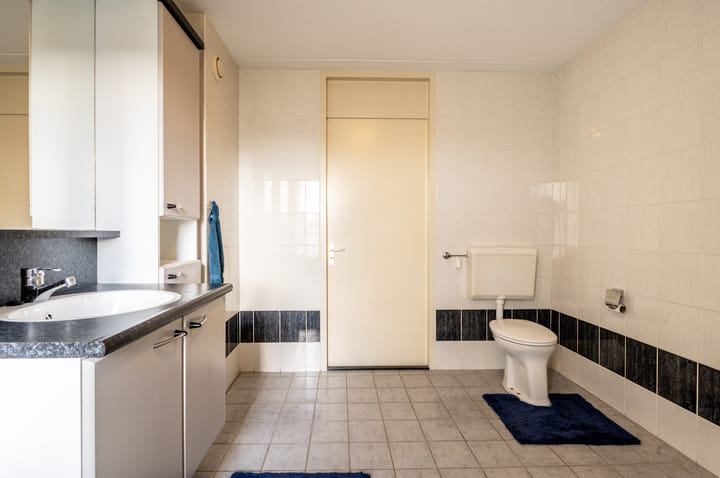 Foto 24 van Lupine 12