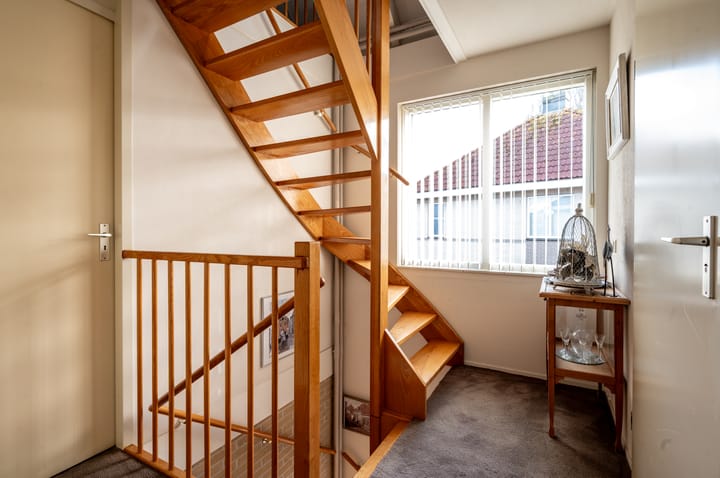 Foto 25 van Lupine 12