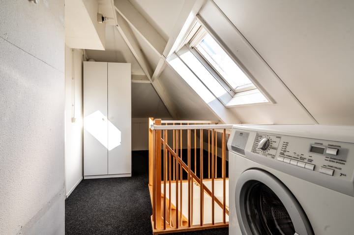 Foto 27 van Lupine 12