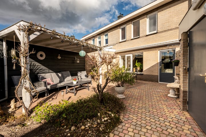 Foto 30 van Lupine 12