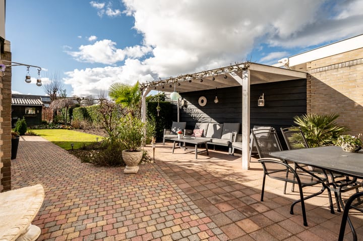 Foto 31 van Lupine 12