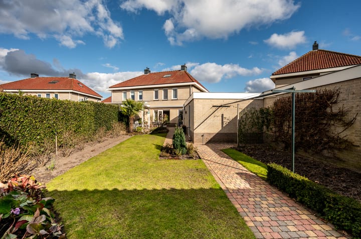 Foto 32 van Lupine 12