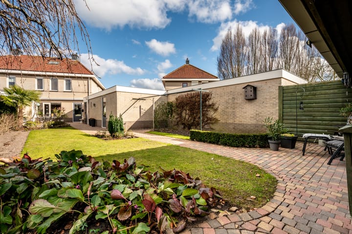 Foto 33 van Lupine 12