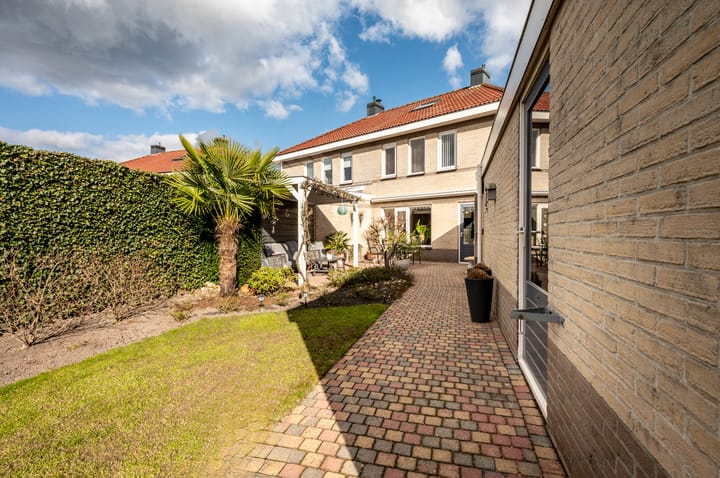 Foto 34 van Lupine 12