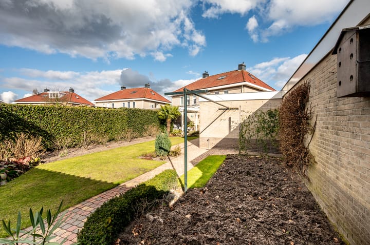 Foto 35 van Lupine 12