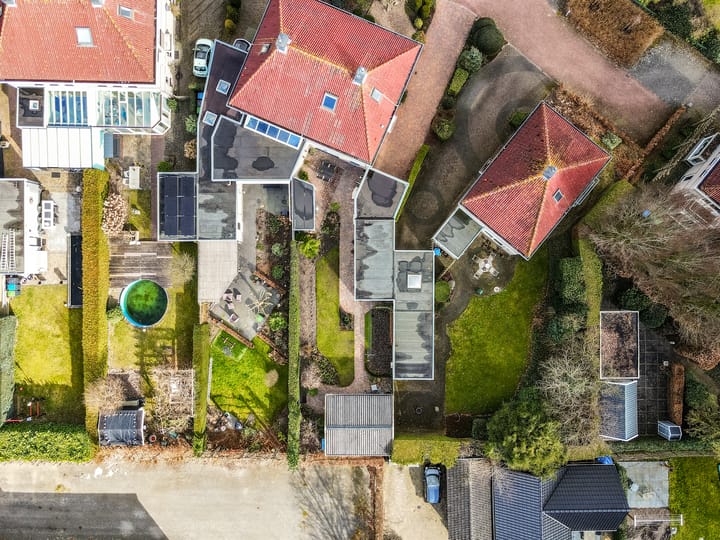 Foto 38 van Lupine 12