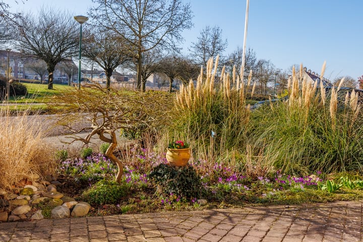 Foto 72 van Bacchus 10