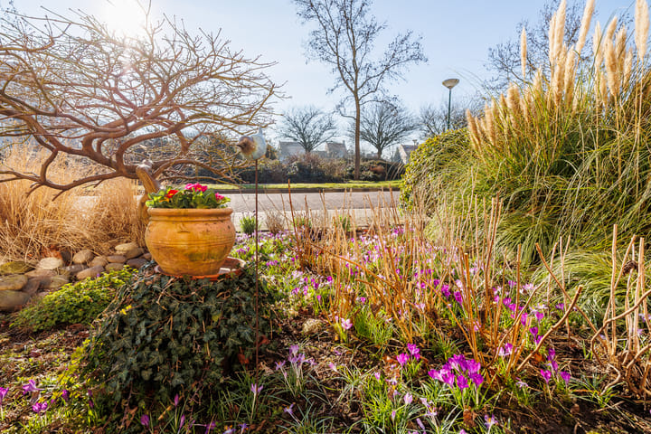 Foto 73 van Bacchus 10