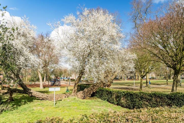 Foto 57 van Priokstraat 19