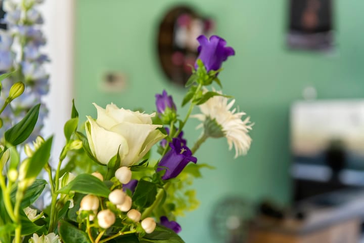 Photo 9 of Jan van Nassauplein 5