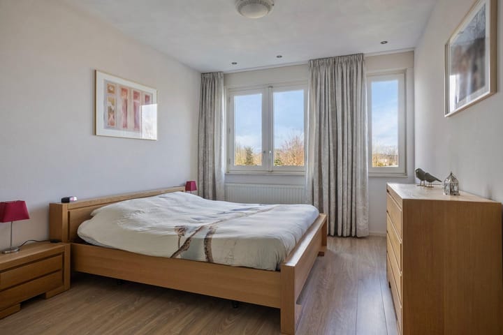 Foto 20 van Laan van Nieuw-Guinea 19