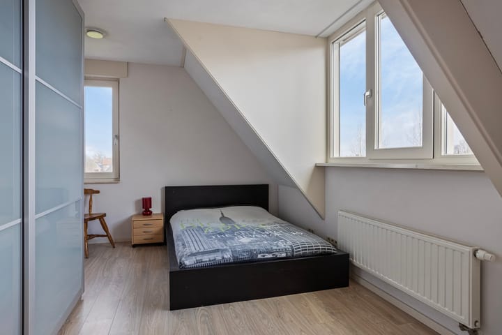 Foto 36 van Laan van Nieuw-Guinea 19