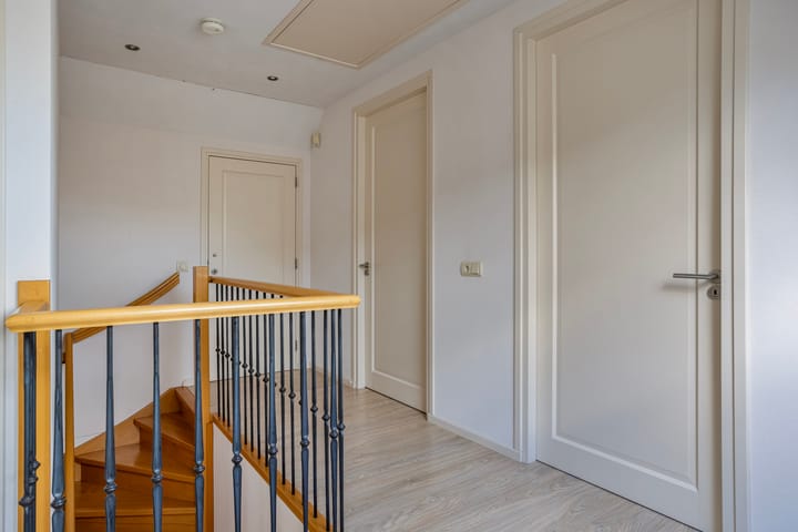 Foto 41 van Laan van Nieuw-Guinea 19