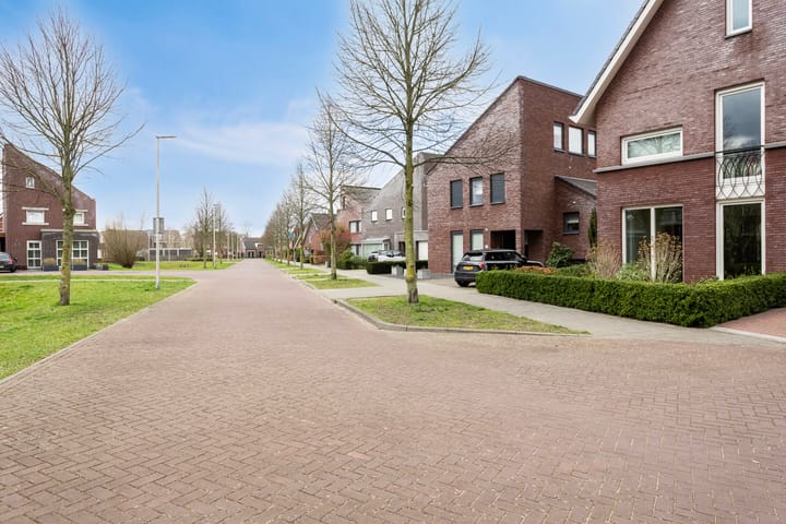 Foto 48 van Laan van Nieuw-Guinea 19