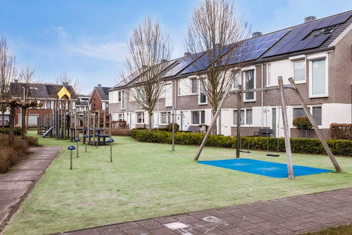 Foto 49 van Laan van Nieuw-Guinea 19