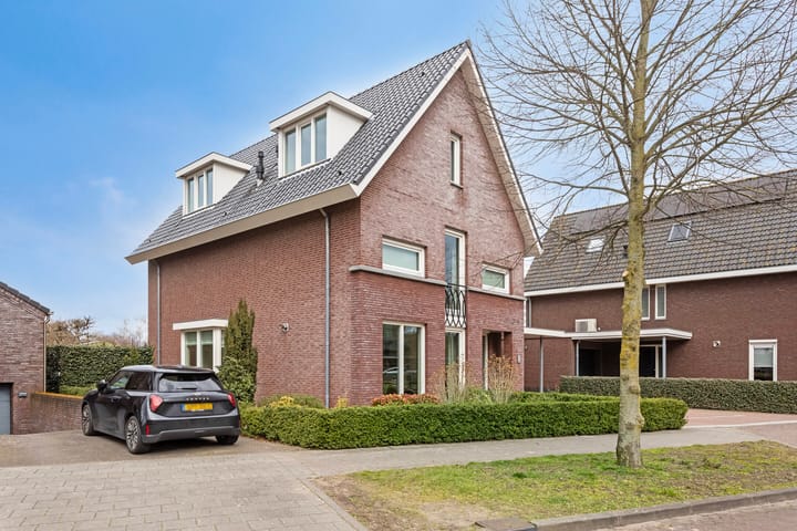 Foto 47 van Laan van Nieuw-Guinea 19