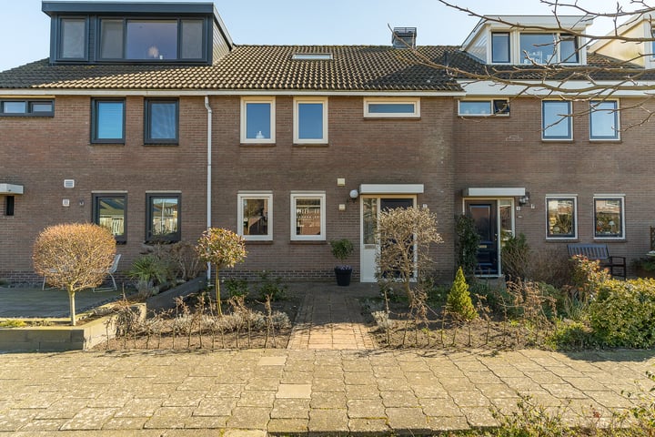 Plecht 12