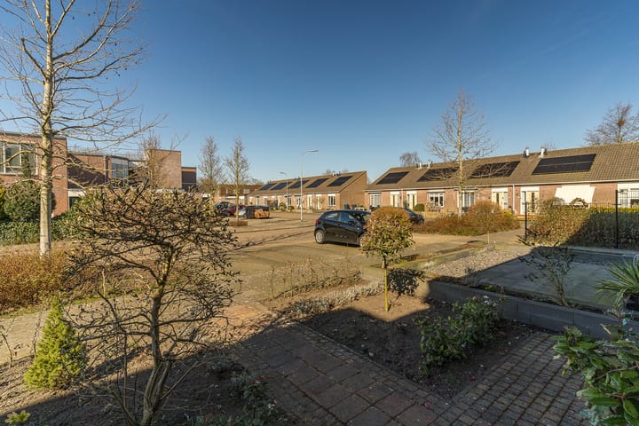 Foto 6 van Plecht 12