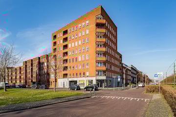 Zwaluwsingel thumbnail