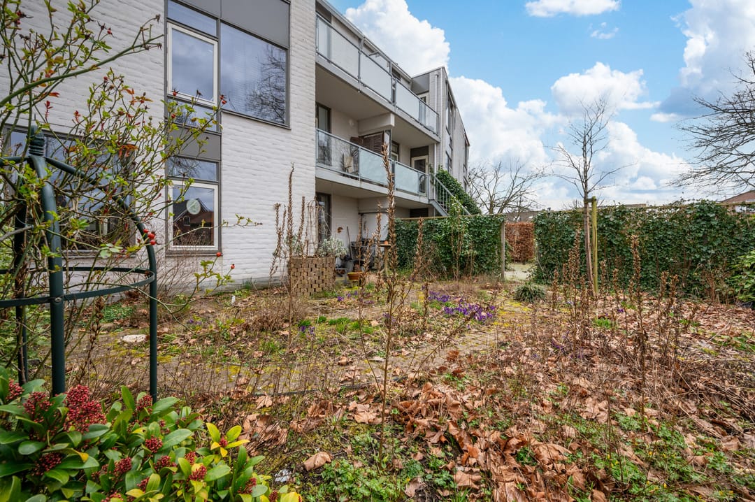 Foto 17 van Van Brerostraat 22