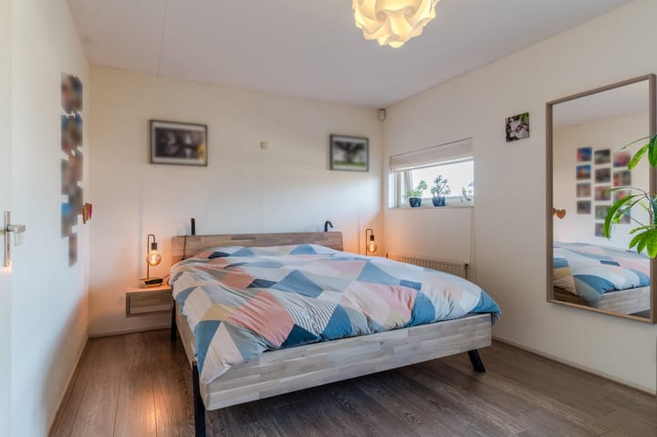 Foto 13 van Rijstveld 42