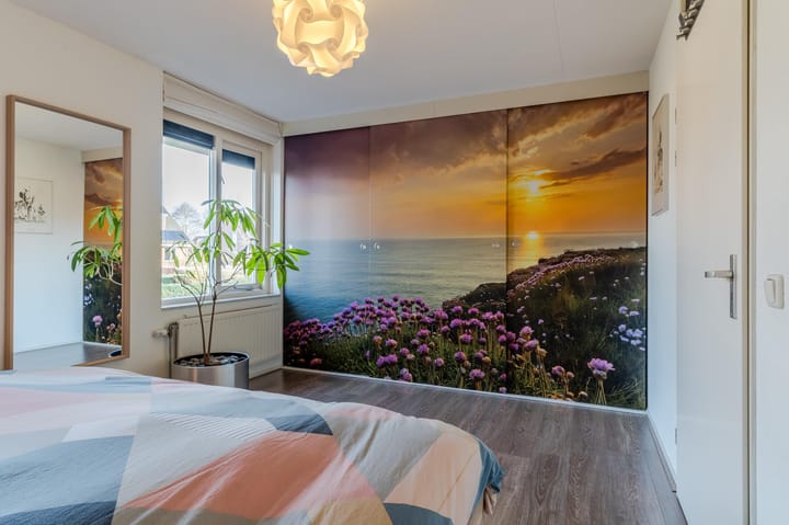 Foto 14 van Rijstveld 42