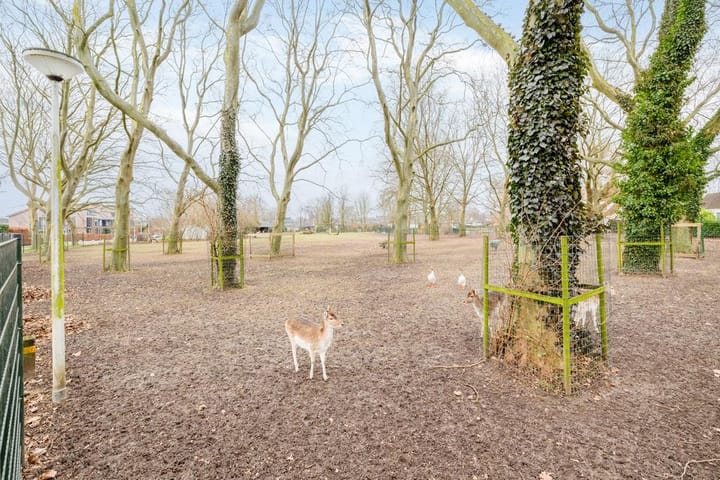 Foto 31 van Heuvel 32