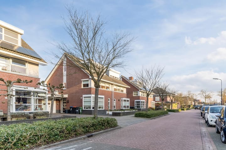 Foto 31 van Rijstveld 42