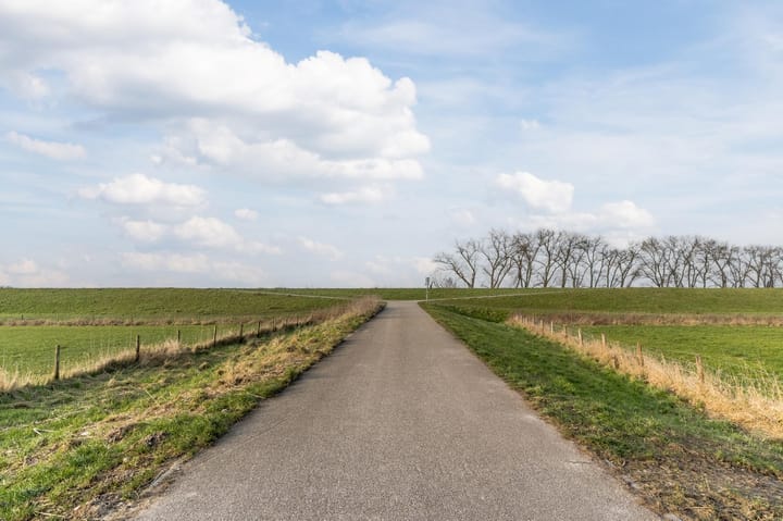 Foto 35 van Rijstveld 42