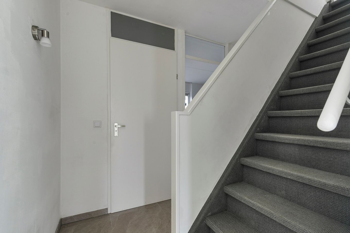 Foto 14 van Zwarte Specht 48