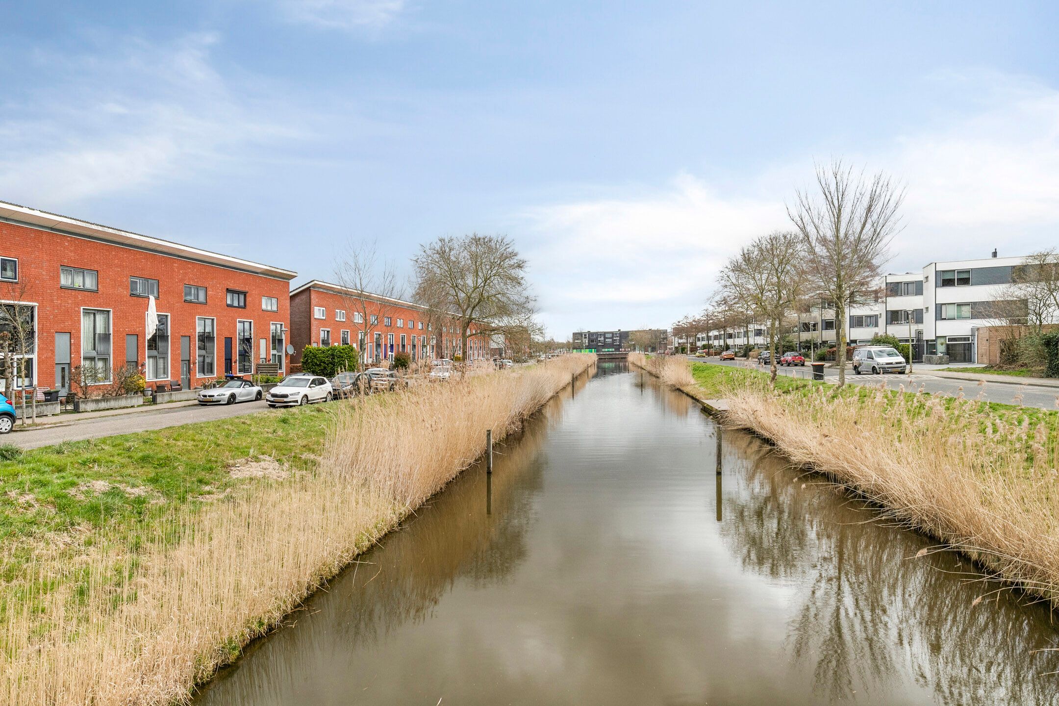 Foto 6 van Zwarte Specht 48