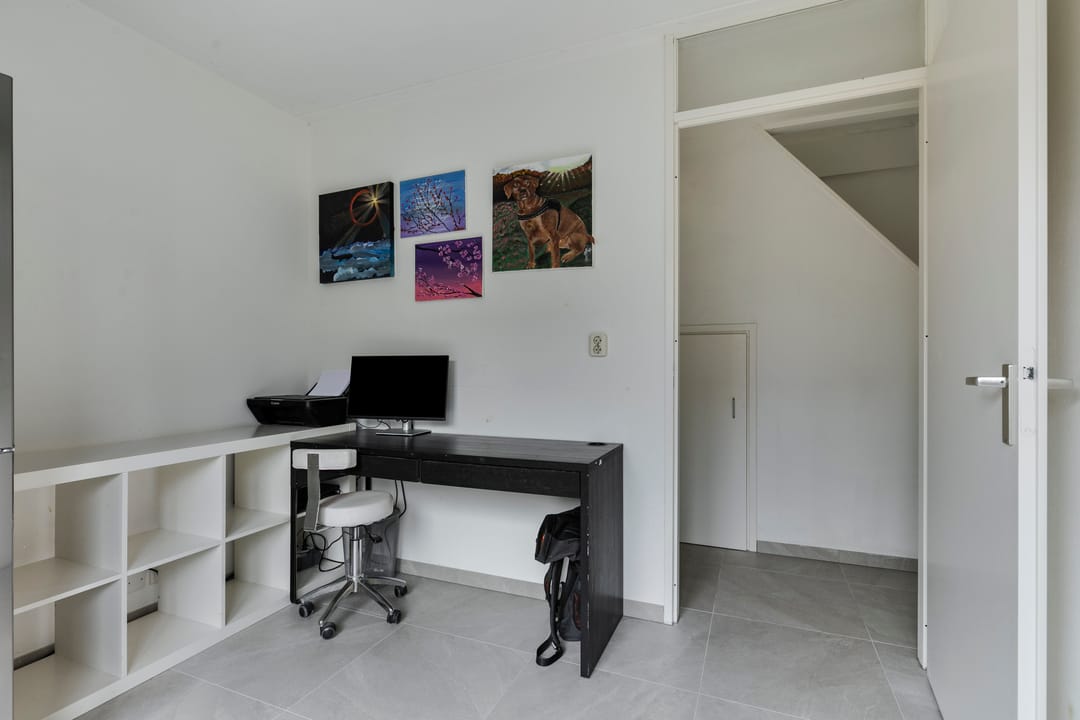 Foto 13 van Zwarte Specht 48