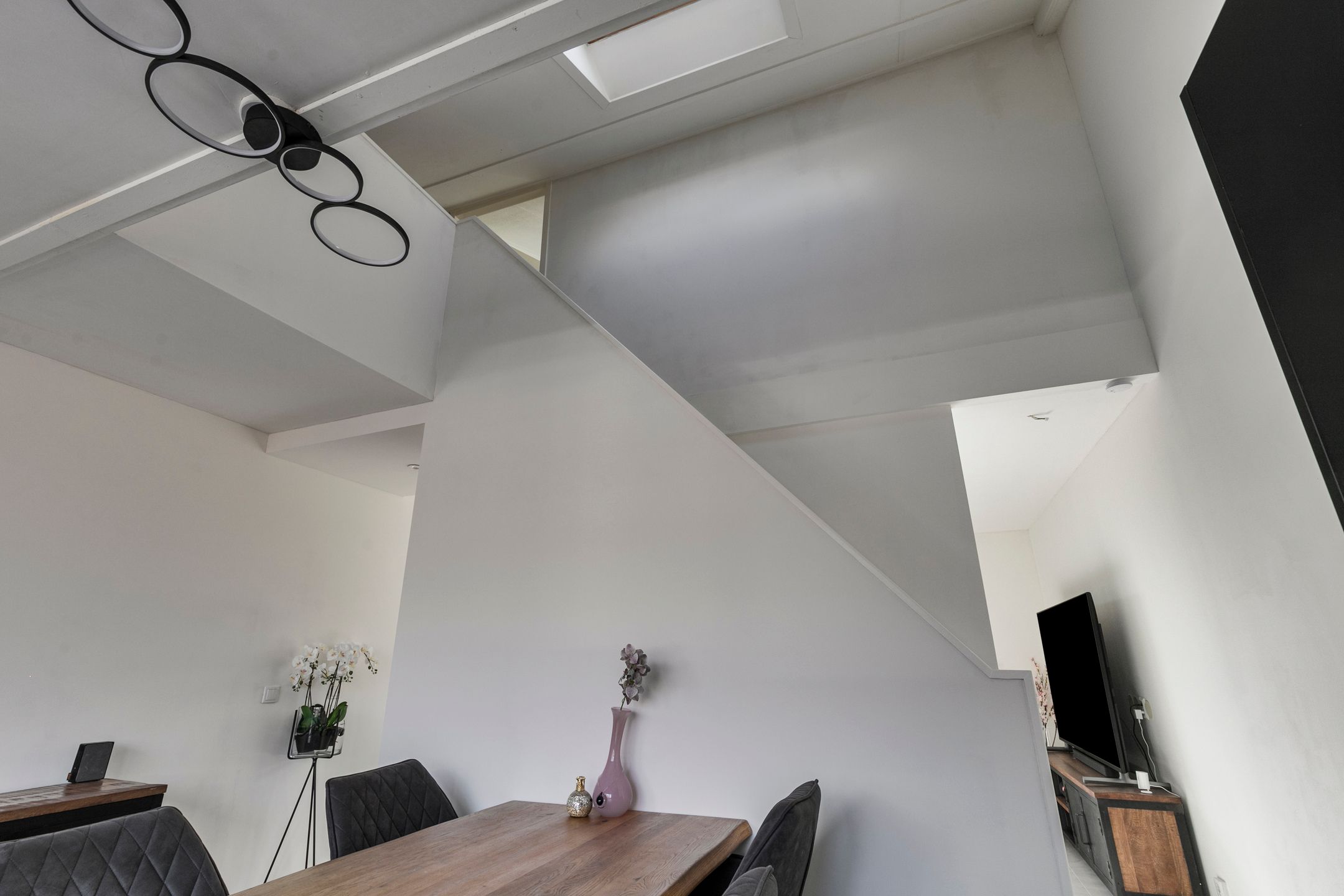 Foto 24 van Zwarte Specht 48