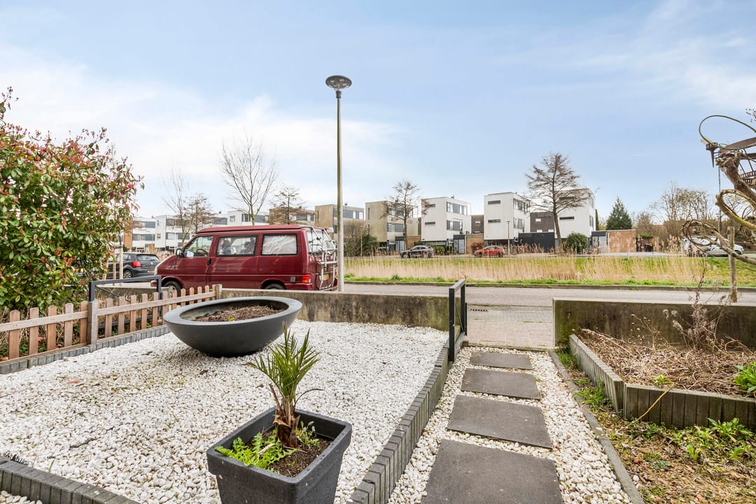 Foto 32 van Zwarte Specht 48