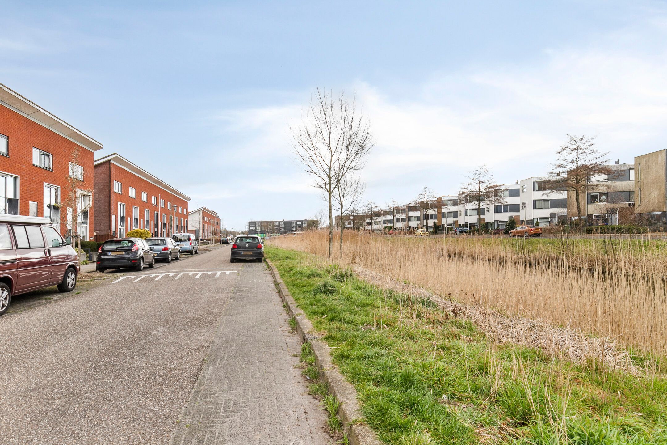 Foto 33 van Zwarte Specht 48