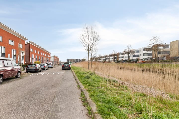 Foto 33 van Zwarte Specht 48