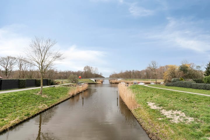 Foto 34 van Zwarte Specht 48