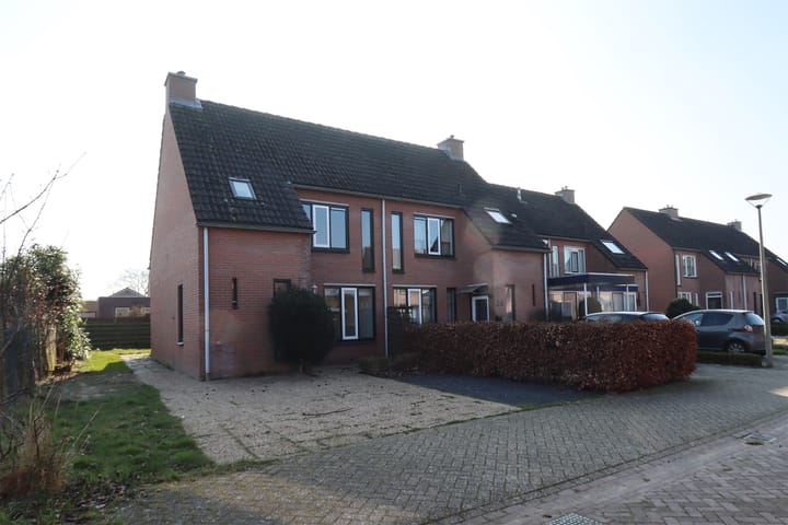 undefined main image