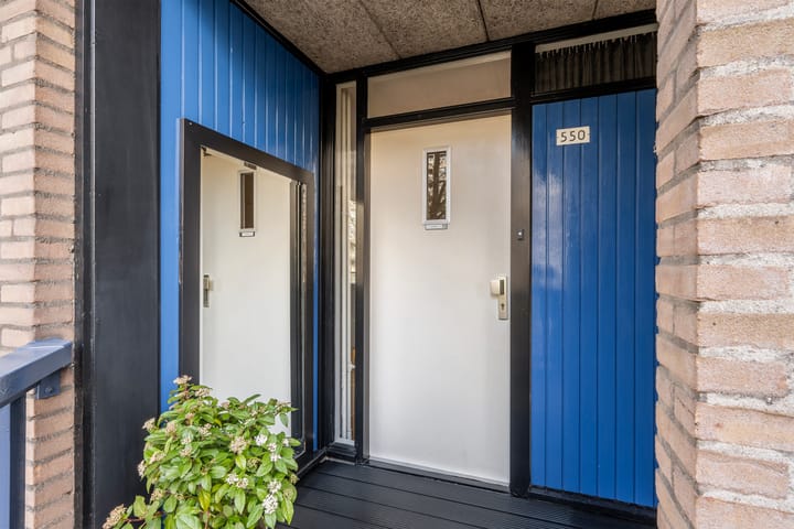 Foto 6 van Goudsesingel 550