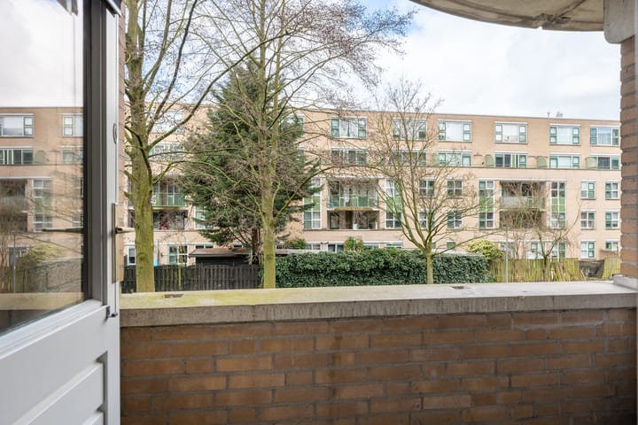 Foto 18 van Schapendreef 299