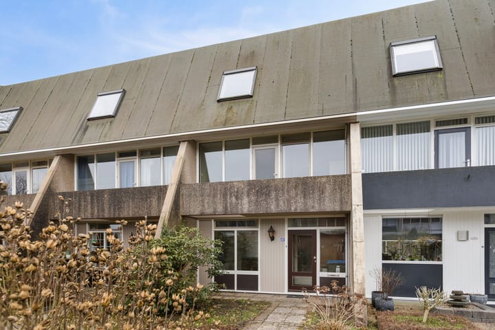 undefined main image