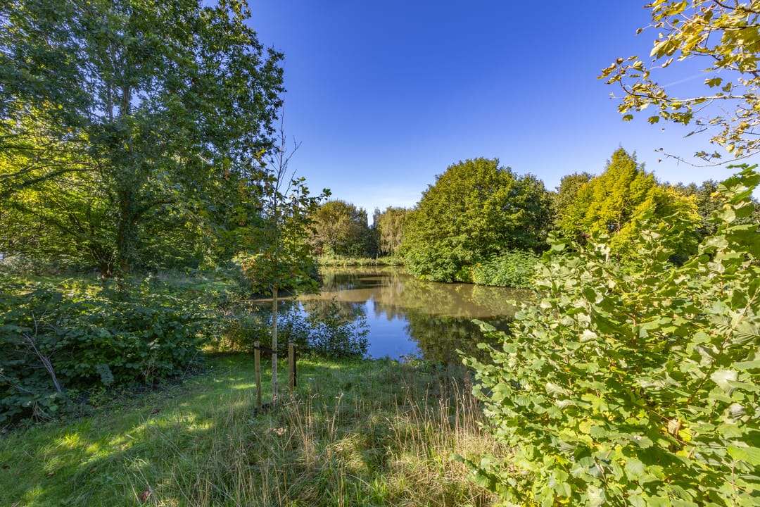 Foto 41 van van Vredenburchweg 609