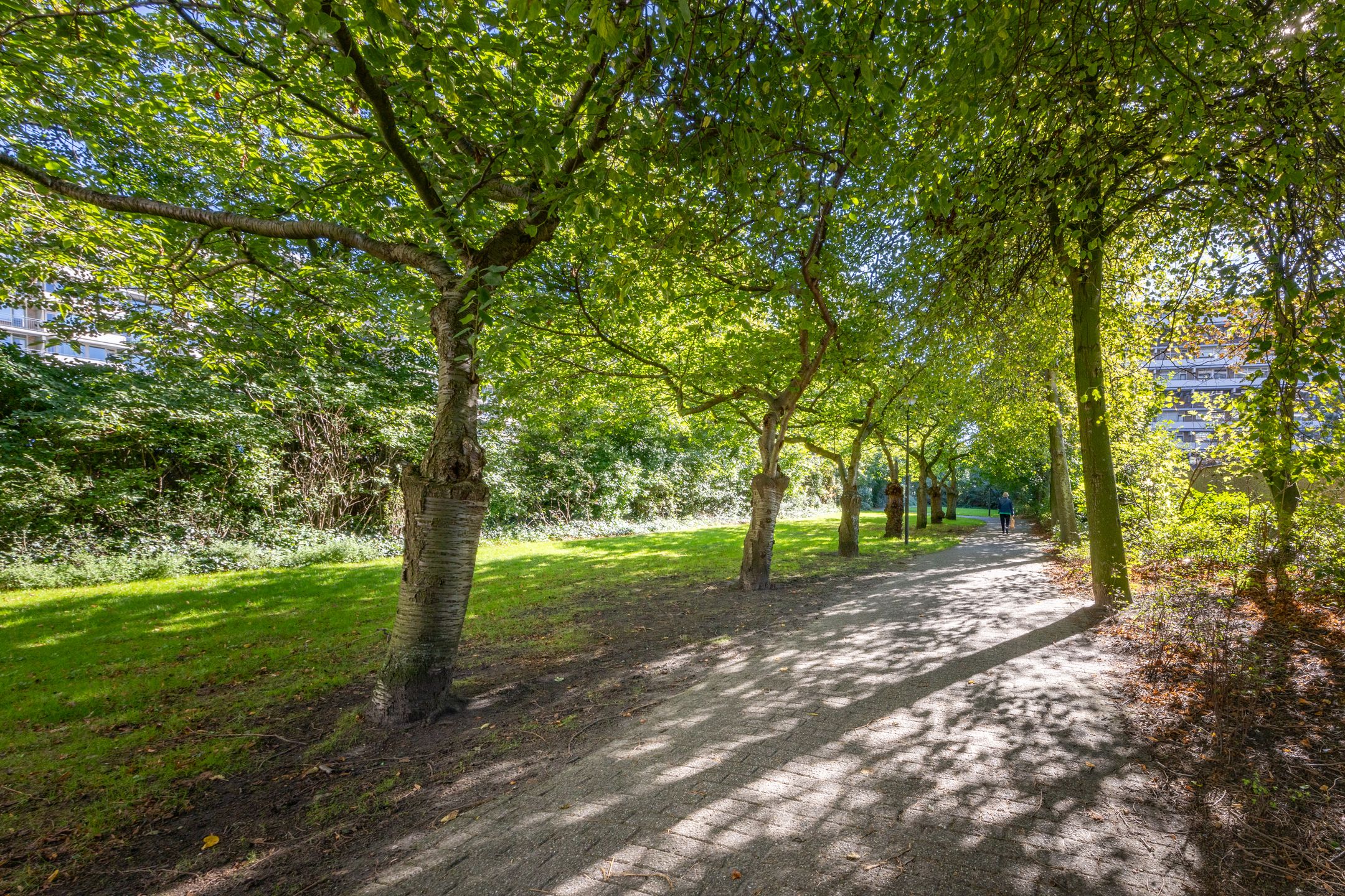 Foto 45 van van Vredenburchweg 609