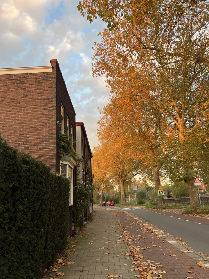 Foto 5 van Graaf Ottosingel 97