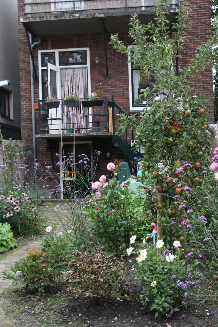 Foto 41 van Graaf Ottosingel 97