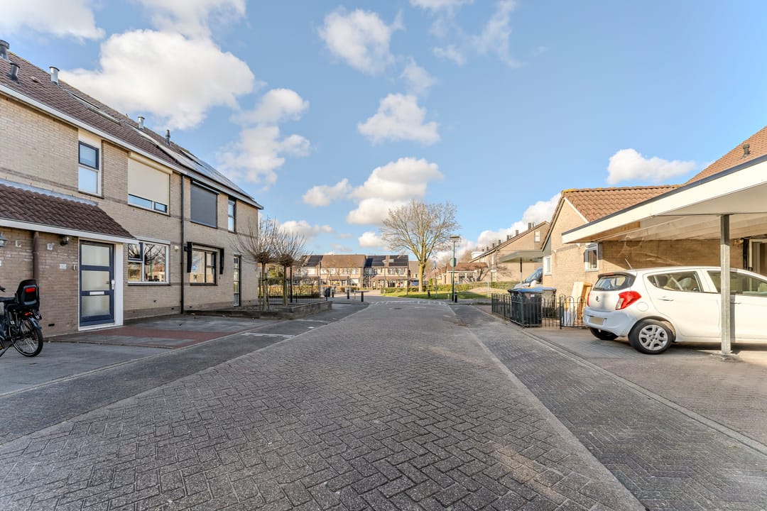 Photo 47 of Kluut 34