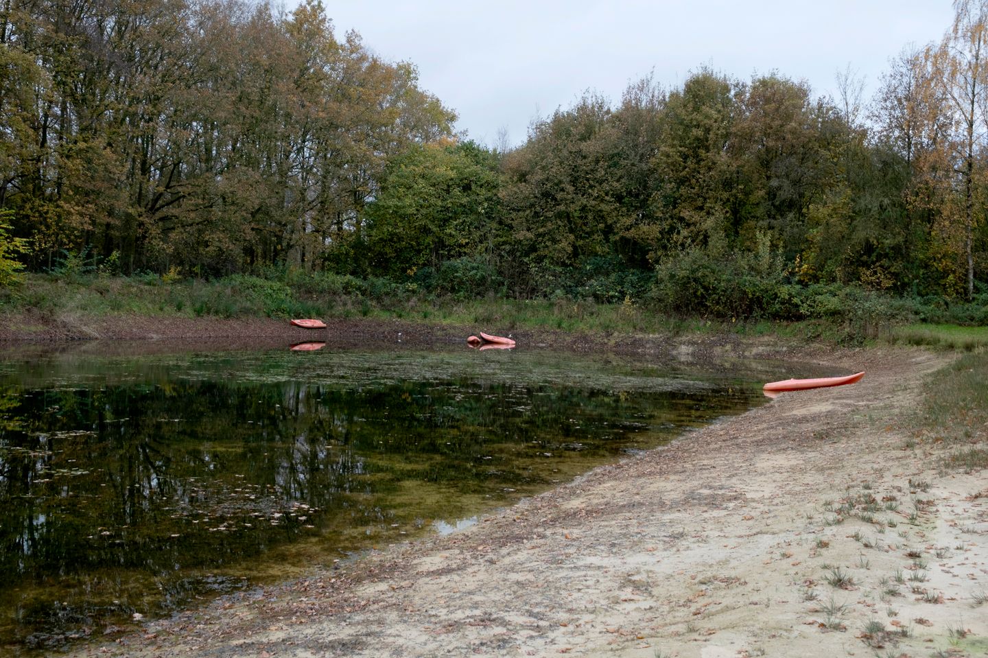 Foto 40 van Drijberseweg 36-A47