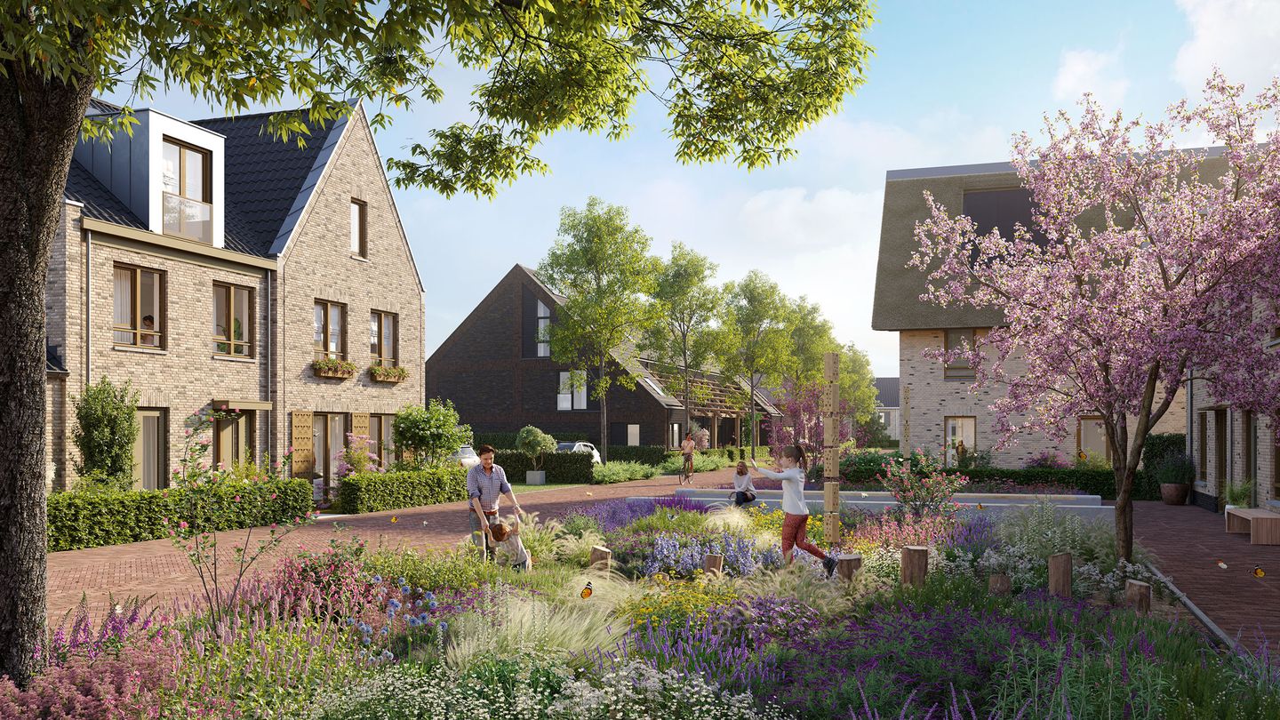 Foto 21 van Droomweide | Fase 2