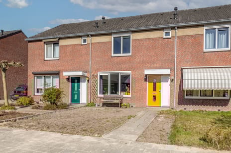 undefined main image